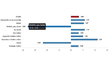 Tüik: Yurt İçi Üretici Fiyat Endeksi (Yİ-ÜFE) yıllık %29,47 arttı, aylık %0,66 arttı