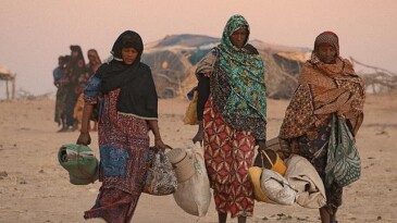 Akbank Sanat & Eko Sinema “Film ve Sürdürülebilirlik” Gösterim ve Söyleşi Programı