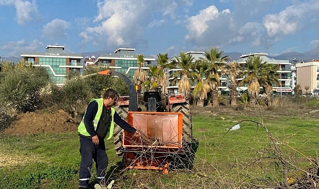 Budanan ağaçlar muhtaçlık sahiplerine yakacak oluyor