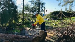 Didim’de Budanan Ağaçlar Muhtaçlık Sahiplerine Yakacak Oluyor