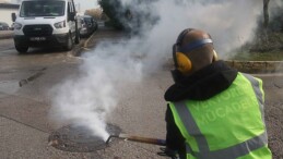 Kocaeli sineksiz bir yıl geçirdi; Vektörle uğraşta 1 milyon noktaya müdahale