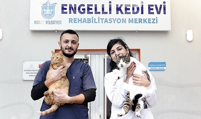 Konak’ın manileri aşan Kedi Konutu’ndan sahiplenme daveti