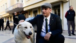 Lider Eşki uyutmadı sahiplendi