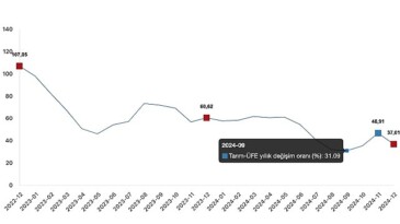 Tüik: Tarım eserleri üretici fiyat endeksi (Tarım-ÜFE) yıllık %37,01 arttı, aylık %0,39 azaldı