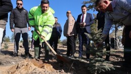 1.Sınıf Öğrencileri için Binlerce Fidan Toprakla Buluştu