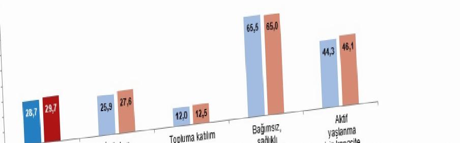 Aktif Yaşlanma Endeksi Genel Değeri 29,7 Olarak Belirlendi