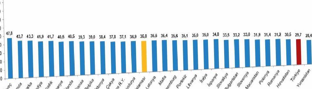 Aktif Yaşlanma Endeksi Genel Değeri 29,7 Olarak Belirlendi