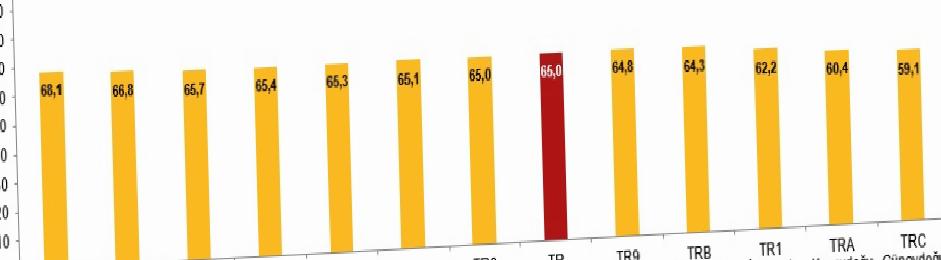 Aktif Yaşlanma Endeksi ve Demografik Dönüşüm: Türkiye'nin Güncel Durumu