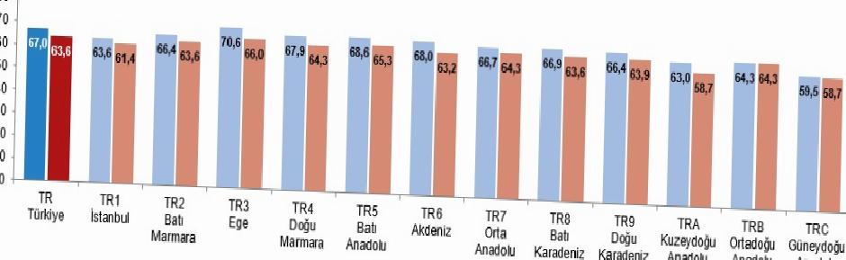 Aktif Yaşlanma Endeksi ve Demografik Dönüşüm: Türkiye'nin Güncel Durumu
