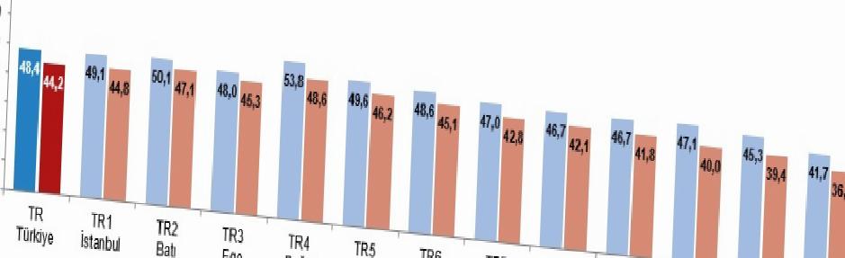Aktif Yaşlanma Endeksi ve Demografik Dönüşüm: Türkiye'nin Güncel Durumu