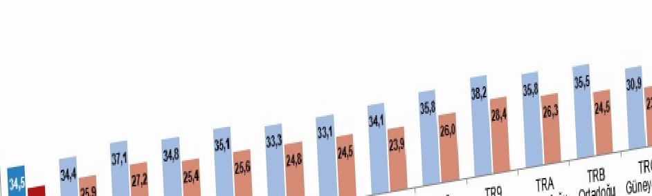 Birleşmiş Milletler ve UNECE Tarafından Geliştirilen Aktif Yaşlanma Endeksi
