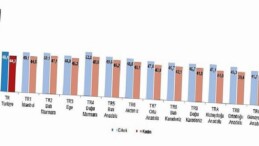 Aktif Yaşlanma Endeksi ve Demografik Dönüşüm: Türkiye’nin Güncel Durumu