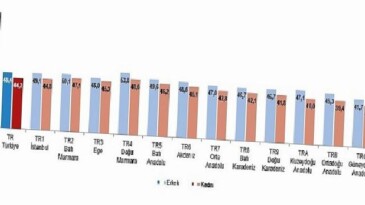 Aktif Yaşlanma Endeksi ve Demografik Dönüşüm: Türkiye’nin Güncel Durumu