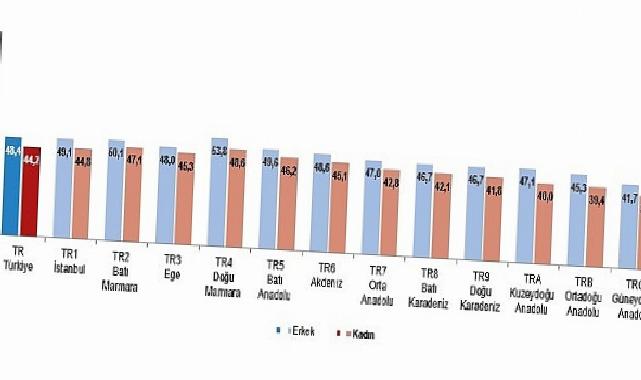 Aktif Yaşlanma Endeksi ve Demografik Dönüşüm: Türkiye’nin Güncel Durumu