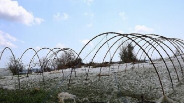 Antalya Manavgat’ta Dolu Felaketi: Zarar Tespit ve Yardım Çalışmaları Hızlandırıldı