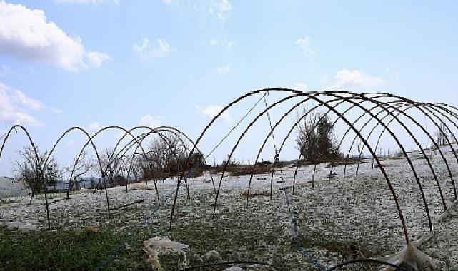 Antalya Manavgat’ta Dolu Felaketi: Zarar Tespit ve Yardım Çalışmaları Hızlandırıldı
