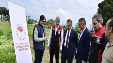 İzmir’de Kuşkonmaz Üretimi Gelişiyor: İlk Hasat ve Proje Çalışmaları