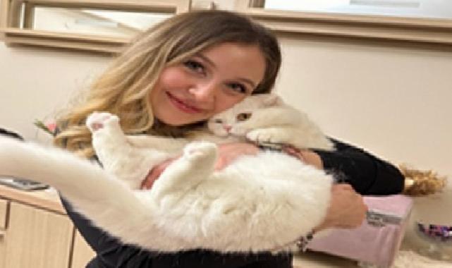 İzmir’de Veteriner Hekimlerden Sahiplenme Çağrısı: Satın Almayın, Sahiplenin!