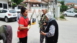 Karşıyaka Belediyesi’nden Sancaklı’ya Zeytin Fidanı Desteği