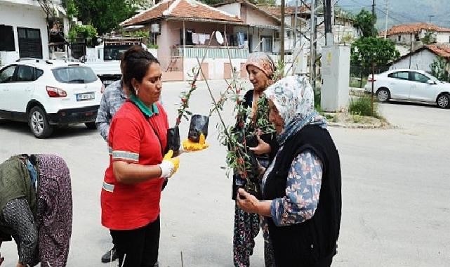 Karşıyaka Belediyesi’nden Sancaklı’ya Zeytin Fidanı Desteği