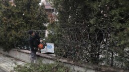 Kent Genelinde Ağaç Budama Çalışmaları Sürüyor