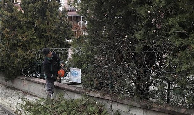 Kent Genelinde Ağaç Budama Çalışmaları Sürüyor