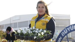 Lider Çerçioğlu Didim’i Rengarenk Çiçekler İle Süsledi