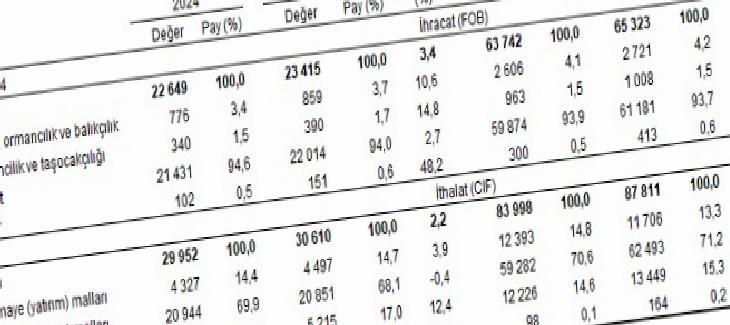 Dış Ticaret Açığı ve Hacim Analizi