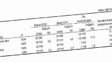 Mart Ayında Türkiye’nin Genel ve Özel Ticaret Verileri Detaylı Analizi
