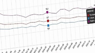 Mevsim Etkisinden Arındırılmış İşsizlik Oranı Mart 2023 – Mart 2025 Döneminde %7,9 Seviyesinde Gerçekleşti