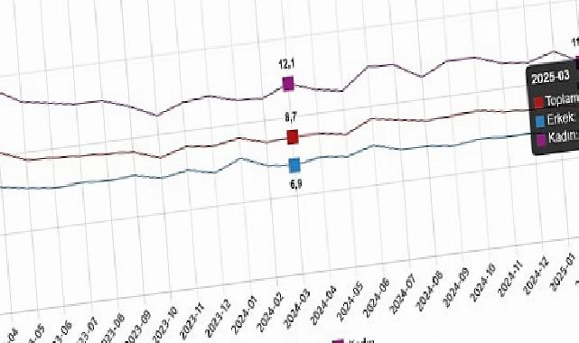 Mevsim Etkisinden Arındırılmış İşsizlik Oranı Mart 2023 – Mart 2025 Döneminde %7,9 Seviyesinde Gerçekleşti