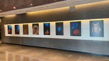 “Okyanusların Mirası” Sualtı Fotoğraf Standı Memorial Sanat Galerisi’nde