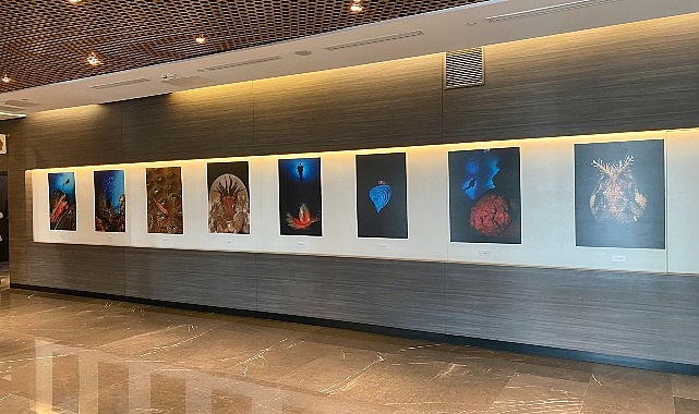 “Okyanusların Mirası” Sualtı Fotoğraf Standı Memorial Sanat Galerisi’nde