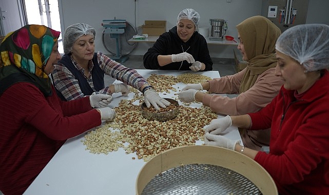 Sarsıntı Bölgesinde Bayan Kooperatiflerinin Umut ve Dayanışma Kıssası: “Yeniden” Digiturk’te