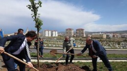 Sivas Belediyesi’nden Yukarı Tekke Mezarlığı’nda Bebek Kabirleri İçin Düzenleme Çalışması