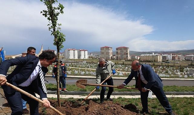 Sivas Belediyesi’nden Yukarı Tekke Mezarlığı’nda Bebek Kabirleri İçin Düzenleme Çalışması