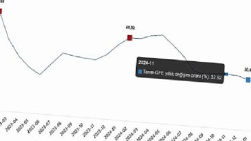 Tarımsal Girdi Fiyat Endeksi (Tarım-GFE) Şubat 2025 Verileri ve Analizi