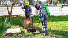 Vektörle gayret kış aylarında da sürüyor