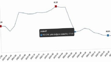 Yurt Dışı Üretici Fiyat Endeksi (YD-ÜFE) 2025 Mart Ayı Verileri ve Analizi
