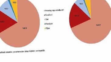 Yurt İçi Seyahat İstatistikleri 2024 – Çeyrek ve Yıllık Analizler