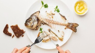 Balık Alerjisi ve Sağlıklı Alternatif Beslenme Yaklaşımları