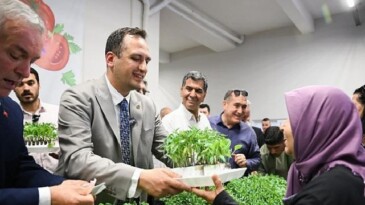 Bornova Belediyesi’nden Kırsal Mahallelere 400 Bin Sebze Fidesi Dağıtımı Başladı