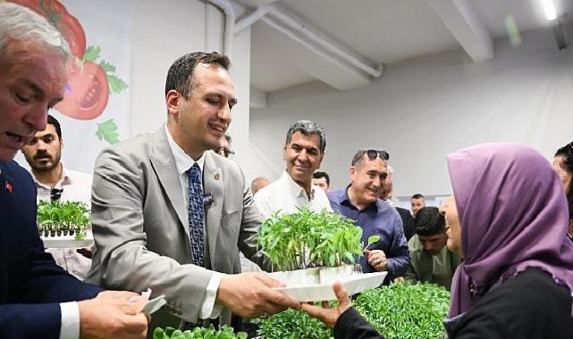 Bornova Belediyesi’nden Kırsal Mahallelere 400 Bin Sebze Fidesi Dağıtımı Başladı