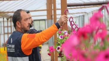Çankaya Belediyesi’nin Bahar ve Yaz Dönemi Çiçek Üretim Çalışmaları Hız Kazandı
