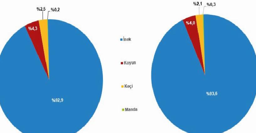 Çiğ Süt Üretimindeki Hayvan Türlerine Göre Dağılım