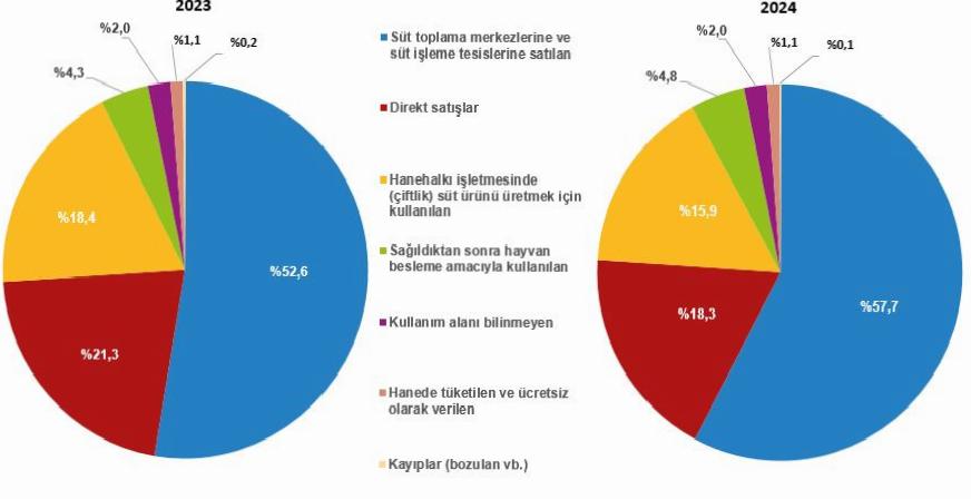 Değerlendirme ve Sonuçlar