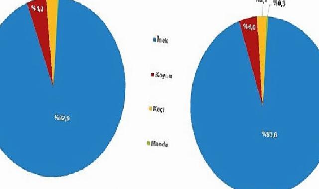 Çiğ Süt Üretiminde 2024 Yılı Güncel Verileri ve Analizi