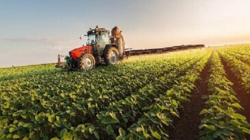 Ege İhracat Birlikleri’nin Nisan 2024 Performansı ve Güncel İhracat Verileri