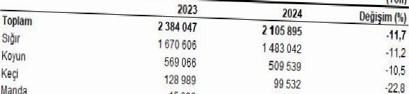 Kırmızı et üretimi 2024 yılında %11,7 oranında azalarak 2 milyon 105 bin 895 tona geriledi