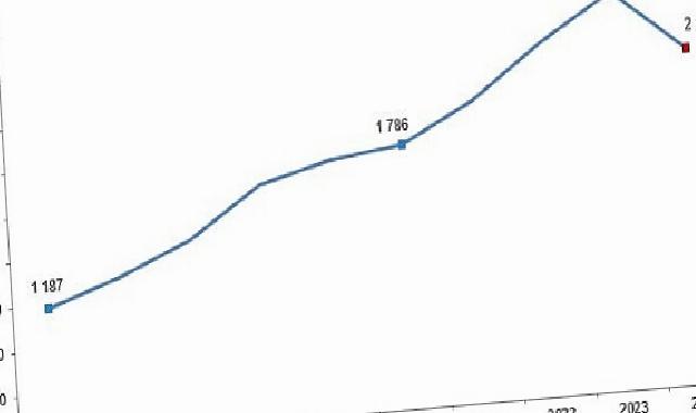 Kırmızı Et Üretiminde 2024 Yılında Gösterilen Dikkat Çekici Düşüş